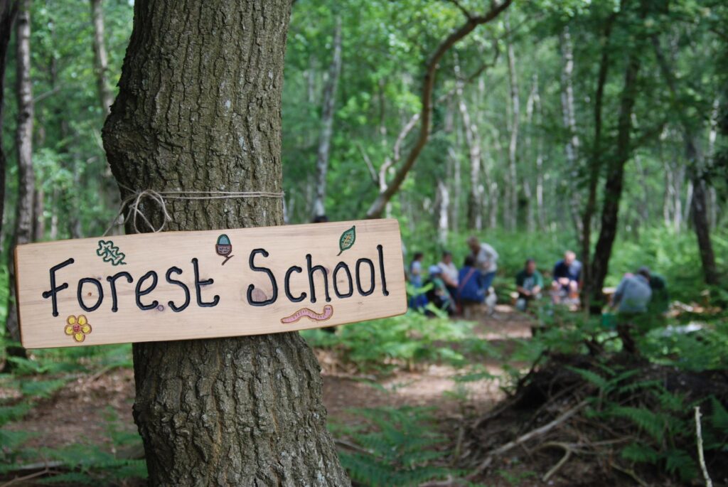 forest schools